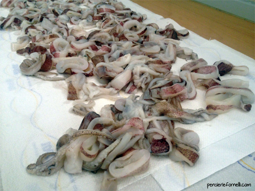 Frittura di calamari